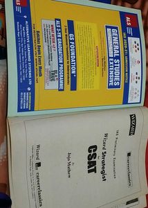 WIZARD STRATEGIES FOR CSAT