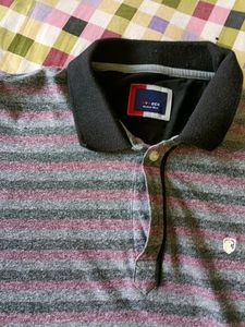 Men Collar T Shirt