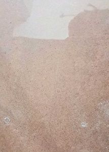 Wall Hanging Photo Frame – Stunning White Horse Ar