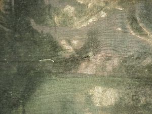 Preloved Saree With Blouse