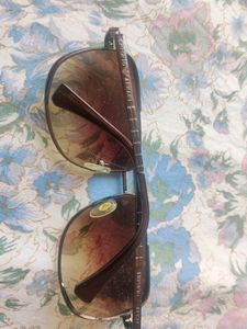 Sunglasses For Women (Brown)