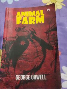 Novel