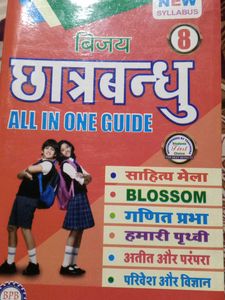 Class 8 All in One Guide