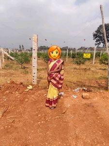 Vintage pure silk narayanpet saree