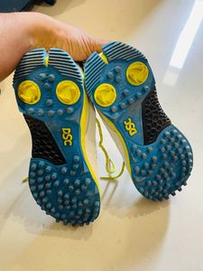 DSC sports shoes