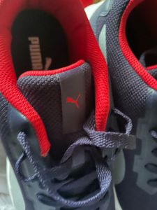 Brand New Puma Sneakers – UK 10