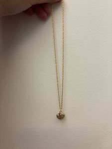 Shell Pearl Necklace