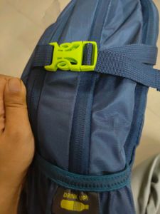 Skybags Brand New Bag W Rain Cover, Comp Straps