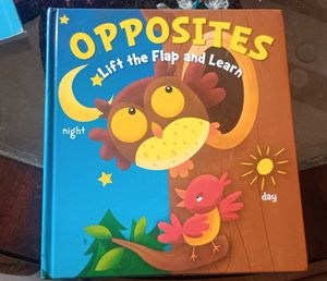 Opposites Lift the Flap Book