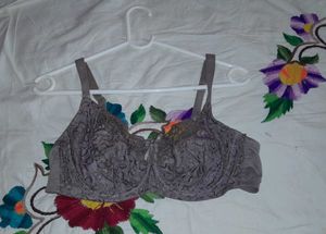 Elegant Lace Bra ( Net )