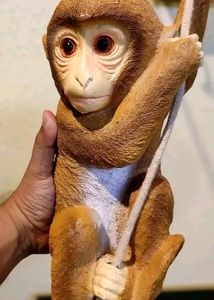 Monkey Showpieces