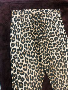 Cheetah Skin Activewear Pants – Khaki Dominant |