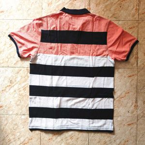 Collar Tshirt 40 Size