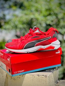 Puma Softfoam +