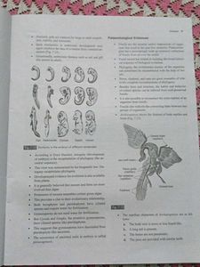 NEET Biology Medical Entrance Guide(Set of 10)