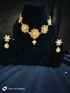 Beautiful Necklace With Earrings. Colour Is Dull From Some Parts Of Flowers, Pls Check Properly Before Grab