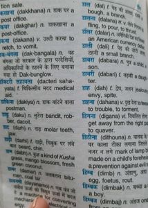 POCKET DICTIONARY - Hindi-Hindi- English