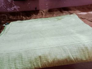 Mint Green Saree with Silver Details