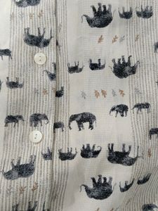 Casual Shirt