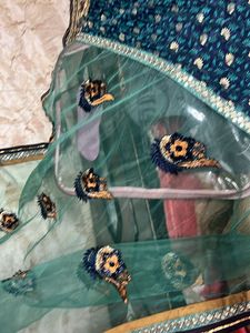 Flared Embroidered Lehenga Saree