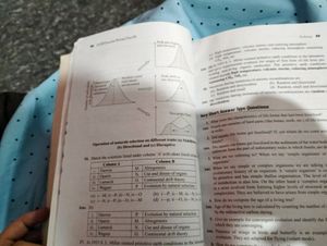 Ncert Exemplar Class 12th
