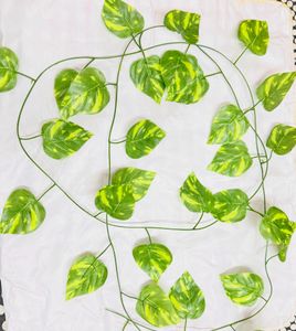 decorative green string with leave wings