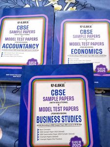 Class XII CBSE Sample Papers - Accounts, Eco,BST