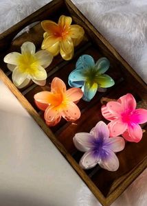 Flower Hair Clips