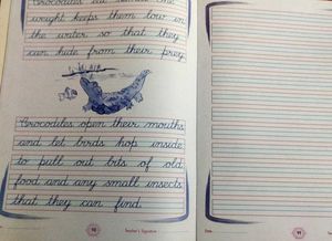 Running Hand Writing Book - Grade 5