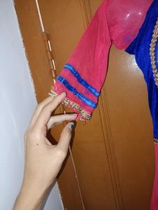 Net Anarakali