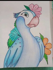 Parrot Drawing