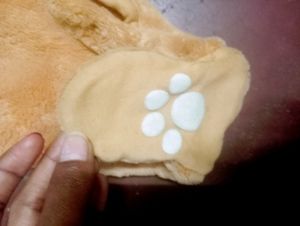 Teddy Bear Dress