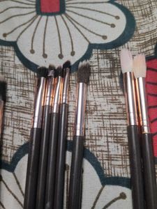 Lilara Brush Set used for 1 to 2 tym