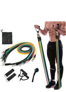 11 Piece Resistance Band Set for workout