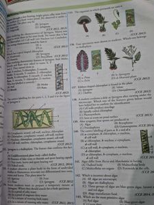 Class IX Biology Textbook