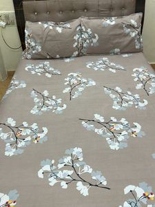 Todays Offer Glace Cotton Double Bedsheet