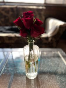 Glass Flower Vase