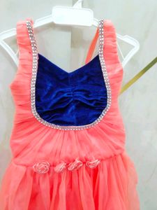 Coral &amp; Navy Embellished Party Dress