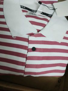 Striped Polo Shirt