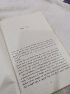 The Other Wife - Thriller original book
