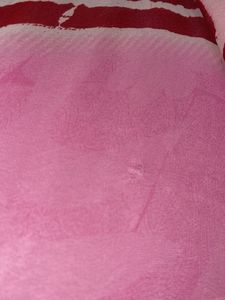 garden print pink saree