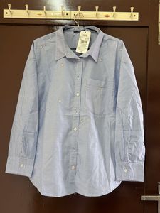 Striped Button-Down Shirt
