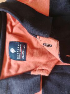 Collar Tshirt 40 Size