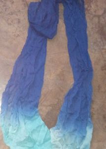 Georgette Blue Duptta Kids Stall Women