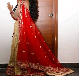 Gorgeous Lehenga Choli