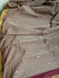 Saree Without Blouse