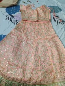 Peach Embroidered Lehenga Choli