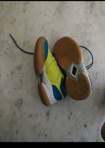 Vector Indoor Soccer Shoes
