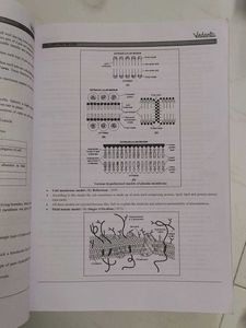 Grade 11 Biology NEET - Vedantu Practice Book