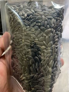 Hybrid Sunflower seeds for planting